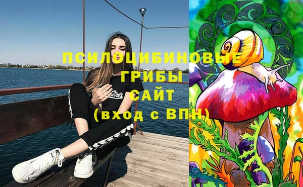 ГАЛЛЮЦИНОГЕННЫЕ ГРИБЫ Остров