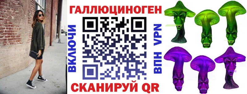 как найти закладки  Мосальск  Галлюциногенные грибы Psilocybe 